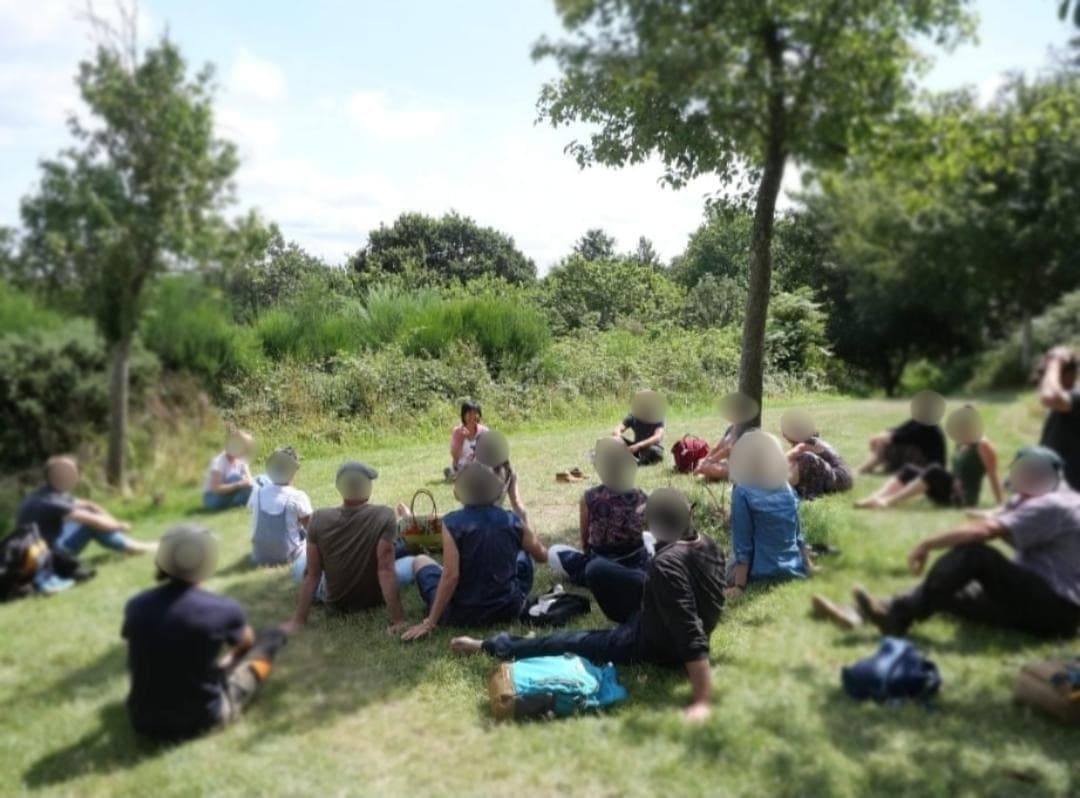 Été 2023 — Parc du Domaine de la Roche-Jagu (22)
